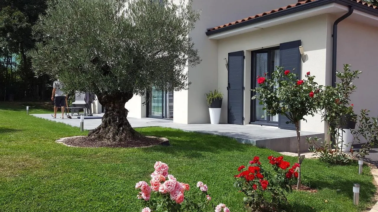 L'Olivier Apartment Mornant Homestay